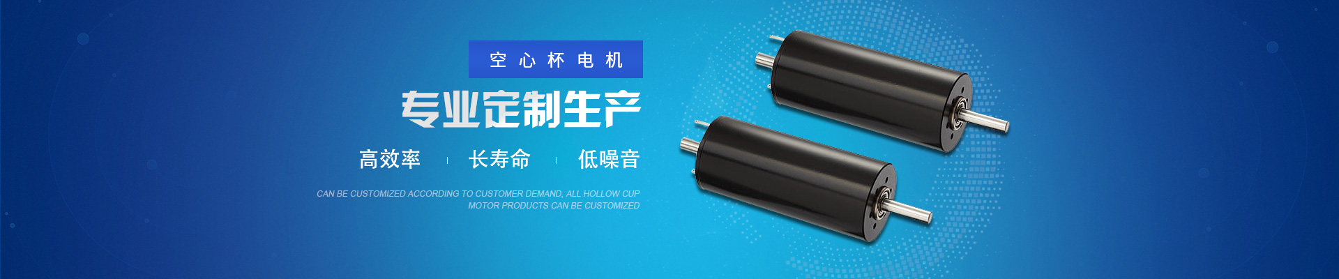 Hollow Cup  Motor Manufacturer in China