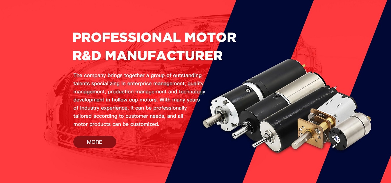Hollow Cup Motor Manufacturer in China