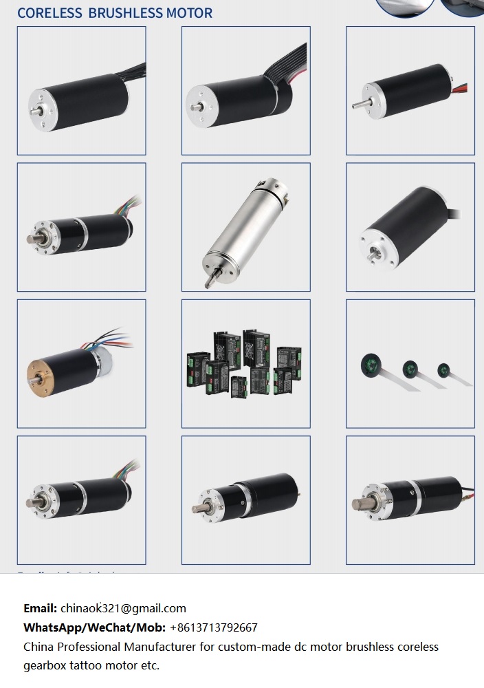 Hollow Cup Motor Coreless Brushless Motor DC Motor Exporter Maxon Faulhaber Tattoo Machine Motor