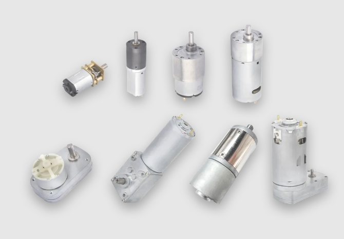 Carbon Brush DC Motor Metal Brush Small Size Motor China Factory Maxon
